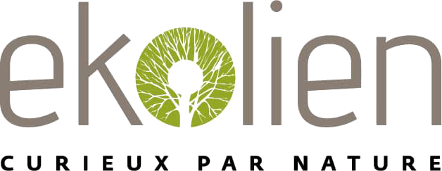 Logo Ekolien lightmode